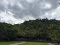 -野象谷景区