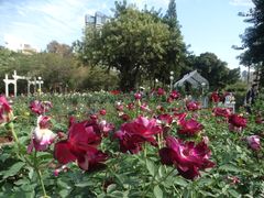 -人民公园(罗湖区)