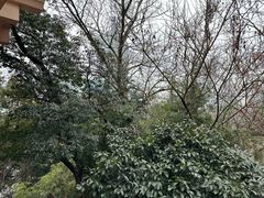 -圣爵菲斯大酒店(长沙世界之窗店)