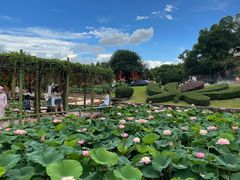 -广州莲花山旅游区