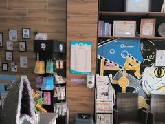 -美联众合宠物医院·爱萌分院·内外科·猫科中心