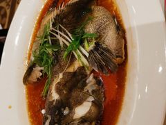 清蒸沙巴龙趸-稻香酒家(天河城店)