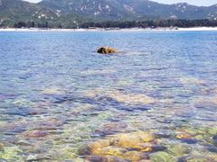 -西涌国际滨海旅游区