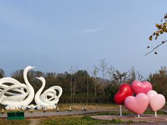 -东郊湿地公园