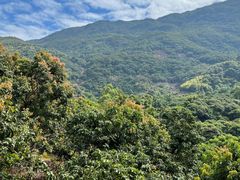 -广州市石门国家森林公园