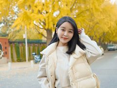 -三里屯东五街银杏大道