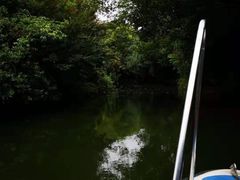 -荆川公园