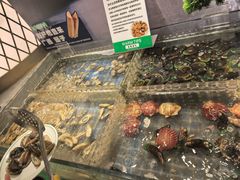 -亚马逊海鲜自助(梅溪湖步步高店)