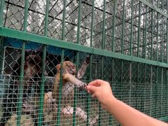 -秦皇岛野生动物园