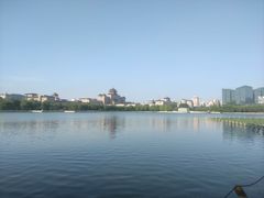 -莲花池公园