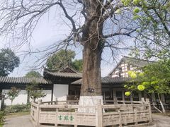-常熟方塔园
