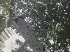 -利强记北角鸡蛋仔(弥敦道店 )