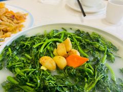 -寻味顺德·南记酒家·传统顺德菜·鱼生(广源路店)
