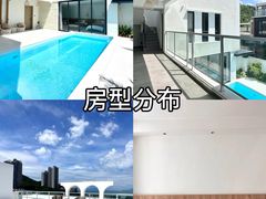 -巽寮湾