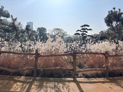 -武汉动物园