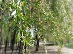 -长春公园(普阳街道)