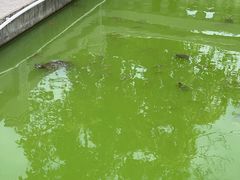 -五里桥文化公园-西侧停车场