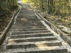 -广州白江湖森林公园