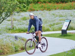 -春花秋色城市公园