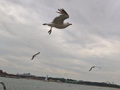 -八仙过海景区