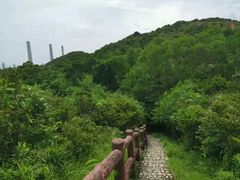 -南丫岛