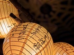 -树洞桌游宠咖小酒馆