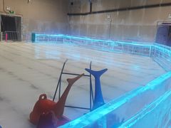 -宁波冰雪大世界(北仑区)