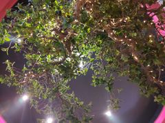 -肉串汪(望京店)