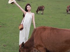 -大姆山草场