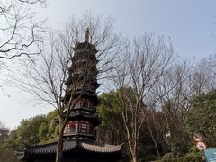 -上海佘山国家森林公园西佘山园