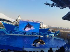 -上海海昌海洋公园