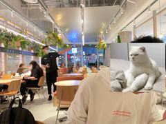 大堂-老乡鸡(上海白玉兰广场店)