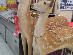 -乔家满族八大碗(流水沟店)