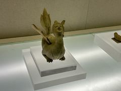 -岳阳市博物馆