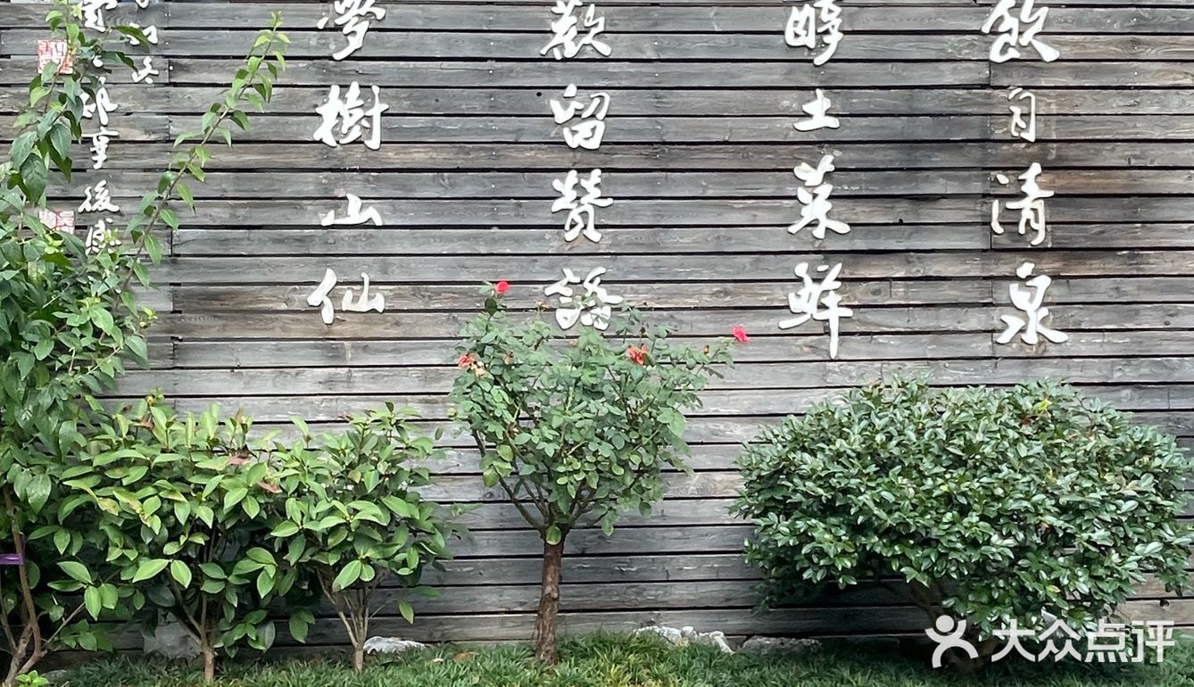 庭院美景如画