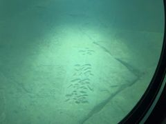 -白鹤梁水下博物馆