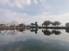 -无锡蠡湖国家湿地公园-蠡园