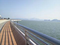 -演武大桥观景平台