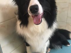 -喵汪宠物生活馆(涞坊路店)