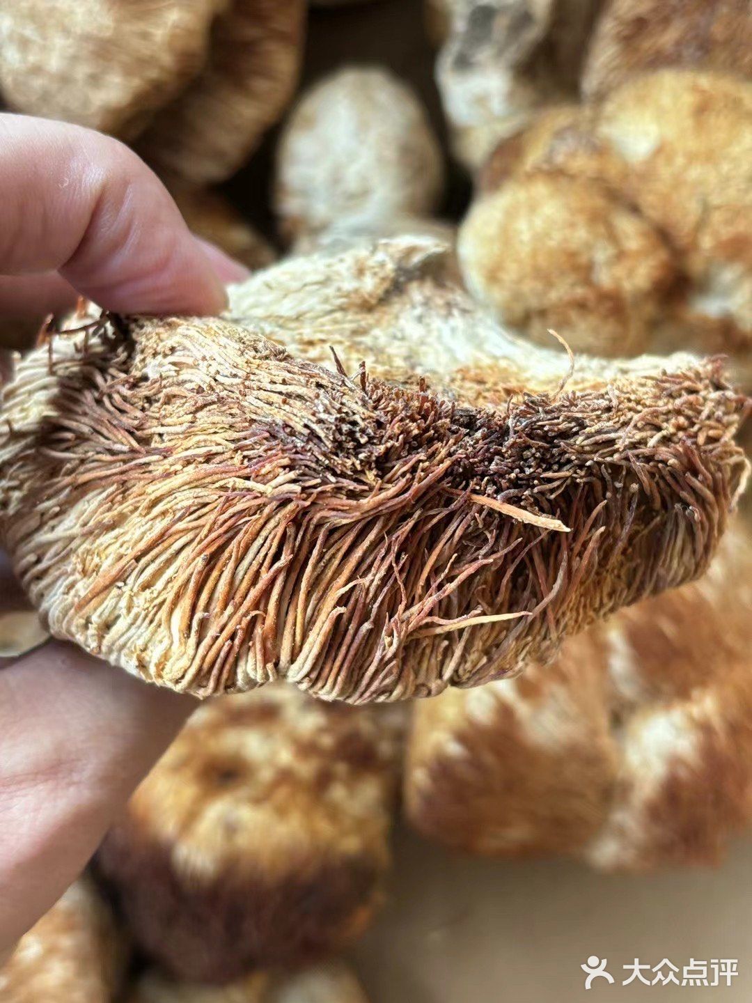 你能猜出这是什么吗？