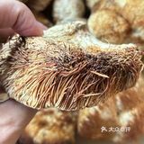 你能猜出这是什么吗？