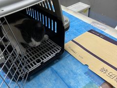 -关爱宠物医院·猫科中心·消化科(滨湖万达分院)