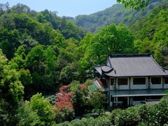 -十八棵（老龙井）御茶园(老龙井店)