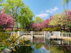-石家庄市植物园