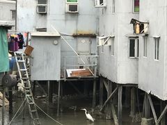 -大澳渔村及棚屋