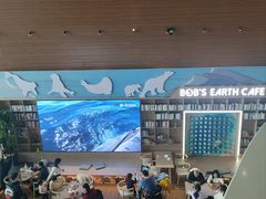 -抱抱地球咖啡馆(国家海洋博物馆店)