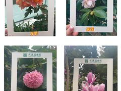 -云溪植物园