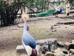 -黔灵山公园