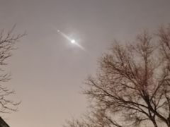 -潮汕三宝鲜牛肉火锅