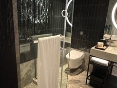 -新加坡乌节希尔顿酒店 (SG Clean)